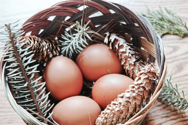 Paskalya yumurtaları sepetin içinde, çam dalları ve kozalaklar ahşap zemine yerleştirilmiş, modern ton..