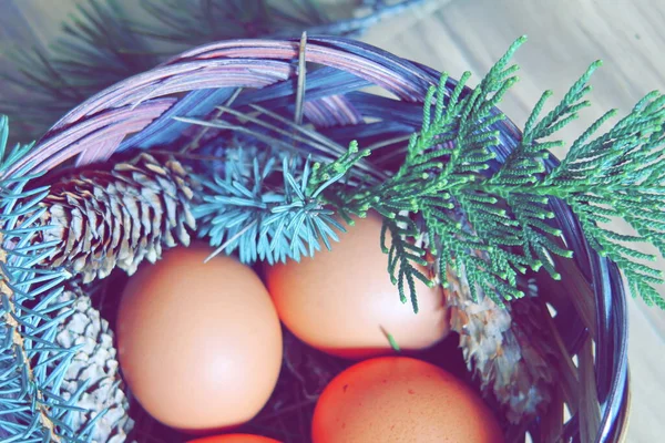 Velikonoční Vajíčka Košíku Borovými Větvemi Borovými Šiškami Moderním Tónu — Stock fotografie