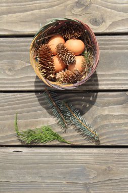 Dört kişilik bir sepetin içinde paskalya yumurtaları ve arka planda çam kozalakları..