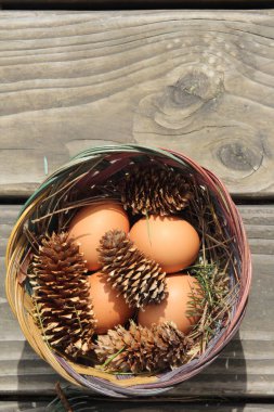 Dört kişilik bir sepetin içinde paskalya yumurtaları ve arka planda çam kozalakları..