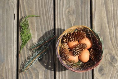 Dört kişilik bir sepetin içinde paskalya yumurtaları ve arka planda çam kozalakları..