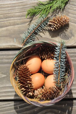 Dört kişilik bir sepetin içinde paskalya yumurtaları ve arka planda çam kozalakları..
