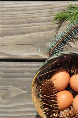 Dört kişilik bir sepetin içinde paskalya yumurtaları ve arka planda çam kozalakları..
