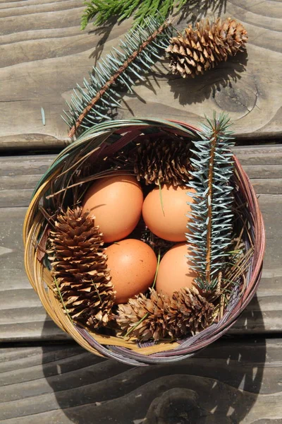 Velikonoční Vejce Košíku Borovicovými Listy Borovicovými Šiškami Lehkém Dřevěném Pozadí — Stock fotografie