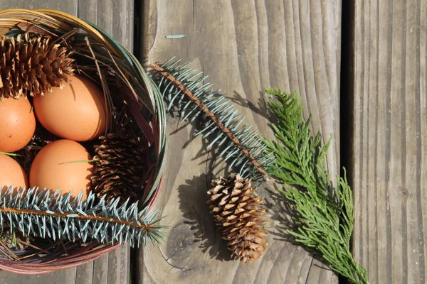 Dört kişilik bir sepetin içinde paskalya yumurtaları ve arka planda çam kozalakları..