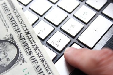 Dizüstü bilgisayarı ve faresi olan bir dolar.