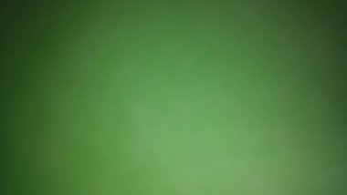 Soyut bulanık arkaplan Yeşil tonlar beyaz, yeşil, siyah.