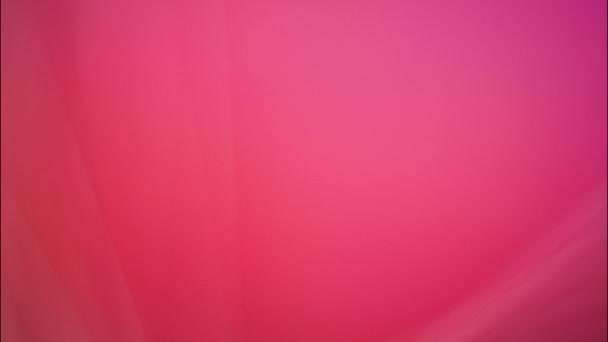 Abstract Blur Background Pink Tones Consist Blue Purple Red Orange — Stockvideo