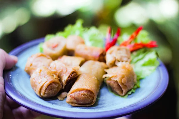 Deep Fried Spring Rolls Blue Plates Vegetables Chili Dipping Sauce — Stock Photo, Image