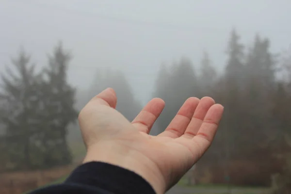 Man\'s hand outstretched to feel the morning air with fog, trees, nature, country roads.