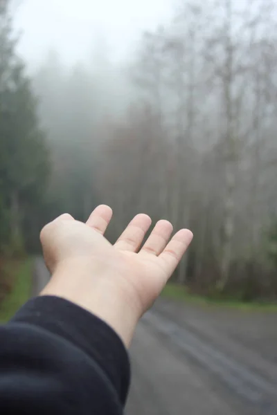 Man\'s hand outstretched to feel the morning air with fog, trees, nature, country roads.