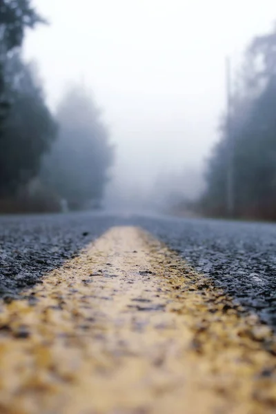 Strada Solitaria America Una Mattina Nebbiosa Con Pini Entrambi Lati — Foto Stock