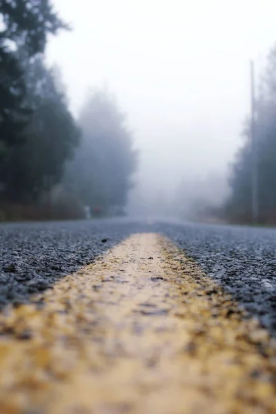 Strada Solitaria America Una Mattina Nebbiosa Con Pini Entrambi Lati — Foto Stock