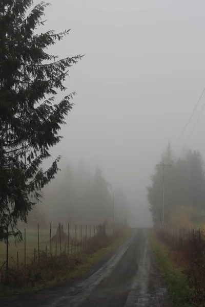 Грубые Грубые Грунтовые Дороги Американской Сельской Местности Туманные Утренние Дороги — стоковое фото