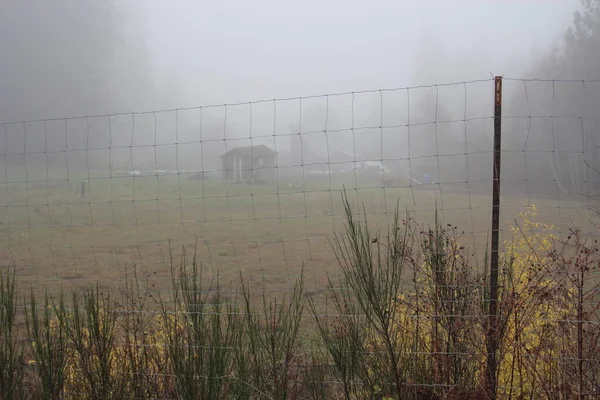 rural america In the morning, there was a front fence with iron bars and grass. The background is an old wooden house with morning mist.