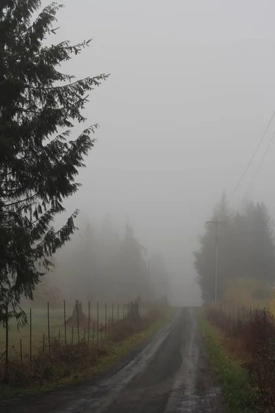 Грубые Грубые Грунтовые Дороги Американской Сельской Местности Туманные Утренние Дороги — стоковое фото