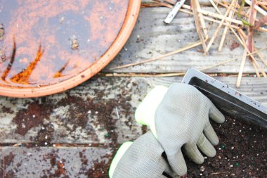 Topraklı saksılar ekime ve eldivenlere hazırlandı. Ahşap bir balkona konmuş turşu, toprakla dağılmış..