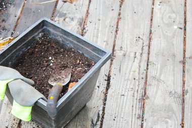 Topraklı saksılar ekime ve eldivenlere hazırlandı. Ahşap bir balkona konmuş turşu, toprakla dağılmış..