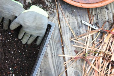 Topraklı saksılar ekime ve eldivenlere hazırlandı. Ahşap bir balkona konmuş turşu, toprakla dağılmış..