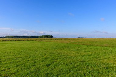 Bu manzara fotoğrafı yazın Avrupa, Fransa, Normandiya 'da Veules les Roses yakınlarında çekildi. Geleneksel Fransız köyü Saint Sylvain 'in kenarındaki tarlaları görüyoruz. Güneşin altında..