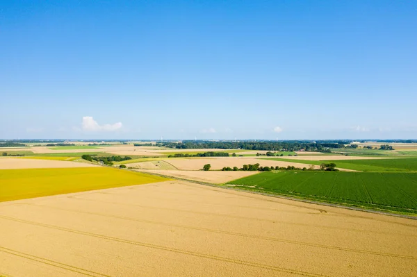 Cette Photo Paysage Été Prise Europe France Normandie Été Voit — Photo