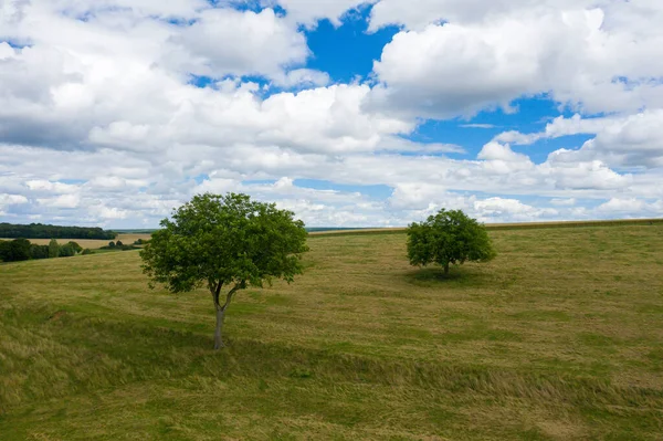 这张风景画是夏天在欧洲 勃艮第 涅弗拍摄的 我们看到田野中央的绿树 在阳光下 — 图库照片