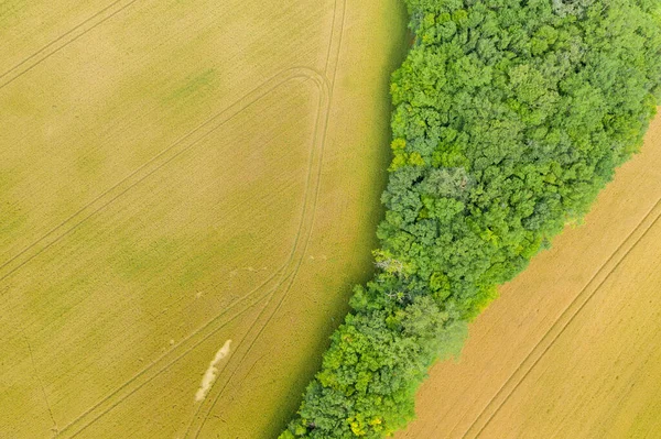 Dette Landskapsbildet Ble Tatt Europa Frankrike Burgund Nievre Sommeren Ser – stockfoto