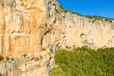Bu manzara fotoğrafı Avrupa, Fransa, Ardeche, yaz aylarında çekildi. Kayalıkların kenarındaki ormanları görebiliriz. Ardeche Boğazı 'nda, güneşin altında..