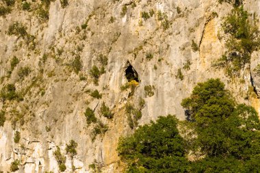 Bu manzara fotoğrafı Avrupa, Fransa, Ardeche, yaz aylarında çekildi. Güneş altındaki Ardeche vadisindeki Pont dArc kayalıklarında yakın çekim görüyoruz..