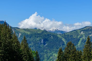 Bu manzara fotoğrafı Avrupa 'da, Fransa' da, Alpler 'de, yazın Chamonix' e doğru çekildi. Mont Joly ve Col de Voza 'yı Mont Blanc Massif' deki kozalaklı bir ormanda, güneşin altında görüyoruz..