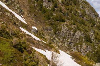 Bu manzara fotoğrafı Avrupa 'da, Fransa' da, Alpler 'de, yazın Chamonix' e doğru çekildi. Kırsalda bir dağ keçisi görüyoruz. Mont Blanc 'taki Aiguillette des Houches' a doğru gidiyor. Güneşin altında..