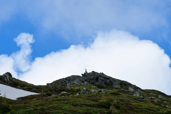 Zdjęcie Krajobrazowe Zostało Zrobione Latem Europie Francji Alpach Kierunku Chamonix — Zdjęcie stockowe