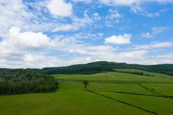 Manzara Fotoğrafı Avrupa Fransa Burgundy Nievre Morvan Çekildi Kırsalın Yeşil — Stok fotoğraf