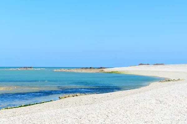 Bu manzara fotoğrafı ilkbaharda Avrupa, Fransa, Normandiya, Manche 'de çekildi. Cap de la Hague Deniz fenerinin önündeki çakıl taşı plajını görebiliyoruz, güneşin altında..