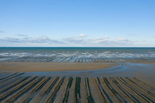 Deze Landschapsfoto Het Voorjaar Genomen Europa Frankrijk Normandië Richting Carentan — Stockfoto