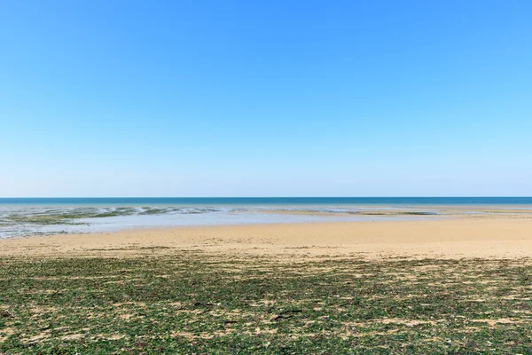 这张风景画是夏天在欧洲 诺曼底 阿尔罗门斯 贝恩斯拍摄的 我们可以看到朱诺海滩 在贝尔内勒斯滨海和海峡海 在阳光下 — 图库照片