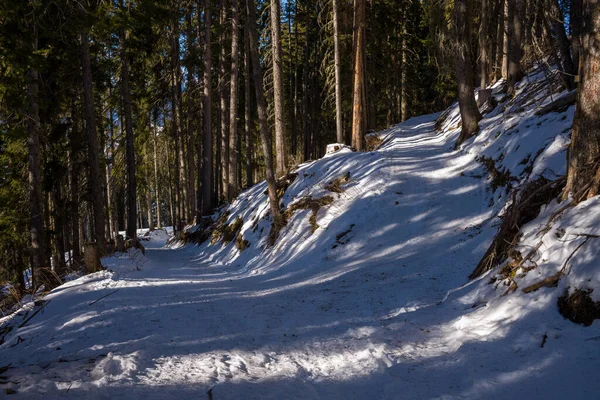 Esta Foto Paisagem Foi Tirada Europa França Nos Alpes Ródano — Fotografia de Stock