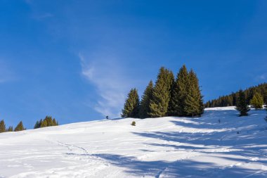 Bu manzara fotoğrafı Avrupa 'da, Fransa' da, Rhone Alpes 'te, Savoie' de, Alpler 'de, kışın çekildi. Mont Blanc 'ın tepesinde güneşin altında birkaç ağaç görüyoruz..