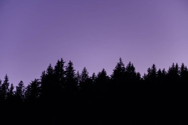 Bu manzara fotoğrafı Avrupa 'da, Fransa' da, Rhone Alpes 'te, Savoie' de, Alpler 'de, kışın çekildi. Mont Blanc Ormanları 'nı gece karanlığında, güneşin altında görüyoruz..