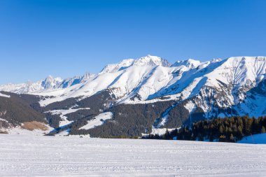 Bu manzara fotoğrafı Avrupa 'da, Fransa' da, Rhone Alpes 'te, Savoie' de, Alpler 'de, kışın çekildi. Mont Blanc kalabalığını ormanın ortasında, güneşin altında görüyoruz..