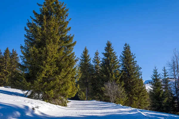 Bu manzara fotoğrafı Avrupa 'da, Fransa' da, Rhone Alpes 'te, Savoie' de, Alpler 'de, kışın çekildi. Megeve 'de Mont Blanc' ın dağlarının ortasında güneşin altında bir yürüyüş yolu görüyoruz..