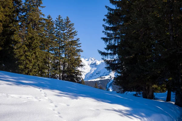 Landscape Photo Taken Europe France Rhone Alpes Savoie Alps Winter — Stock Photo, Image