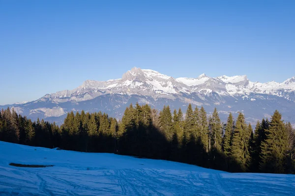 Bu manzara fotoğrafı Avrupa 'da, Fransa' da, Rhone Alpes 'te, Savoie' de, Alpler 'de, kışın çekildi. Mont Blanc 'taki ağaçları görüyoruz, güneşin altında..