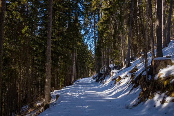 Пейзажное Фото Сделано Европе Франции Рона Альпы Савойе Альпах Зимой — стоковое фото