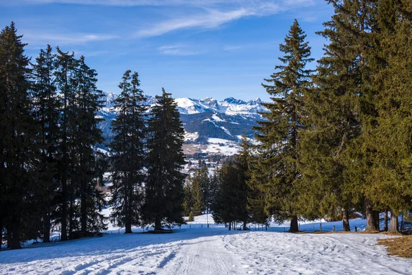 Bu manzara fotoğrafı Avrupa 'da, Fransa' da, Rhone Alpes 'te, Savoie' de, Alpler 'de, kışın çekildi. Orada gördüğümüz ağaçlar güneşin altında Chaine des Aravis 'i saklıyor..