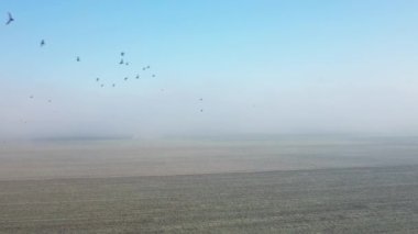 Güzel Ban Gioc şelaleleri Çin, Asya, Kuzey Vietnam sınırında, Cao Bang 'de, yazın, güneşli bir günde Lang Son' a doğru.