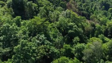 Asya 'daki yemyeşil yağmur ormanları Laos, Khammouane, güneşli bir günde Thakek' e doğru ilerliyor..