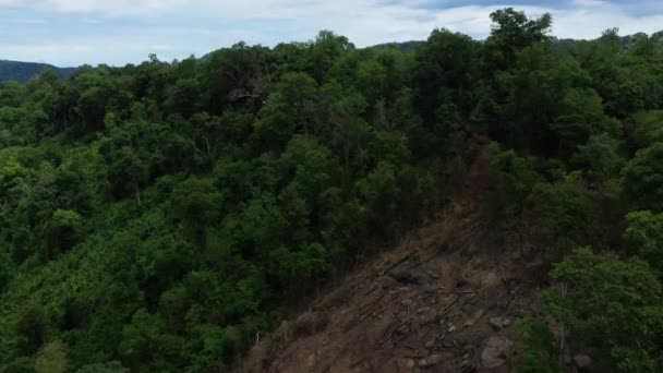 Parte Della Foresta Tropicale Dopo Aver Subito Deforestazione Asia Laos — Video Stock