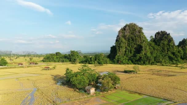 Una Casa Campesina Borde Picos Kársticos Campos Arroz Asia Laos — Vídeo de stock