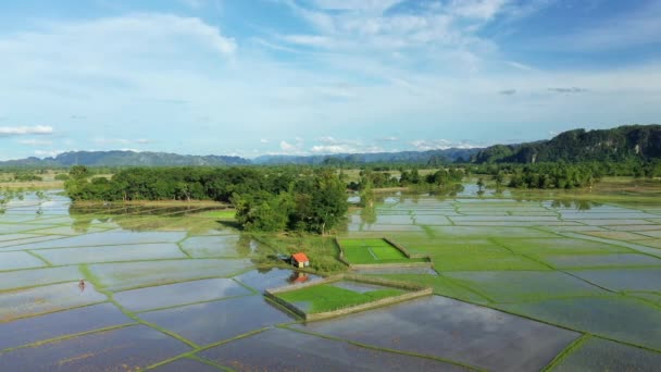 在一个阳光明媚的日子里 在亚洲的水稻田和山区中间的一座传统农舍 Khammouane 朝向泰国 — 图库视频影像